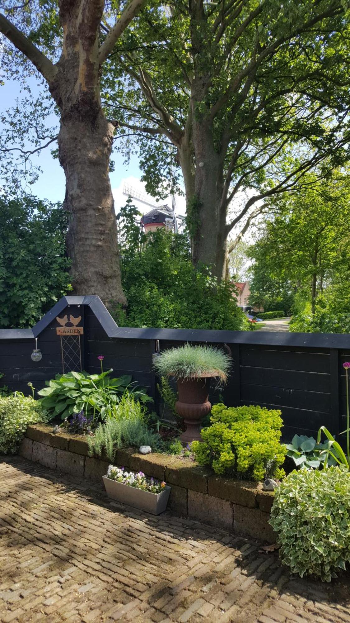 Tiny House Tholen Vila Exterior foto